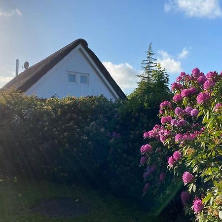 Ferienhaus Butterblume Südbrookmerland Eksteriør billede