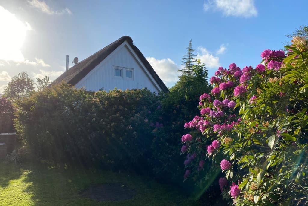 Ferienhaus Butterblume Südbrookmerland Eksteriør billede